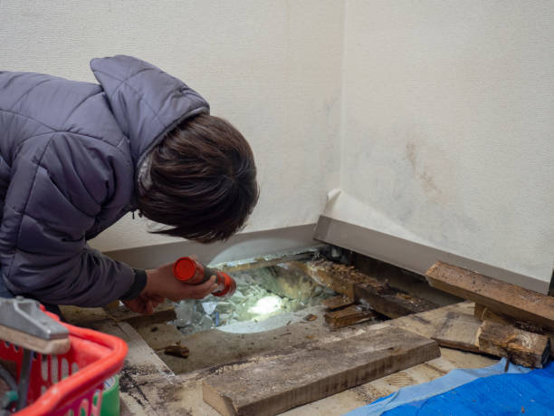 Best Forensic Mold Investigation  in Hartville, OH