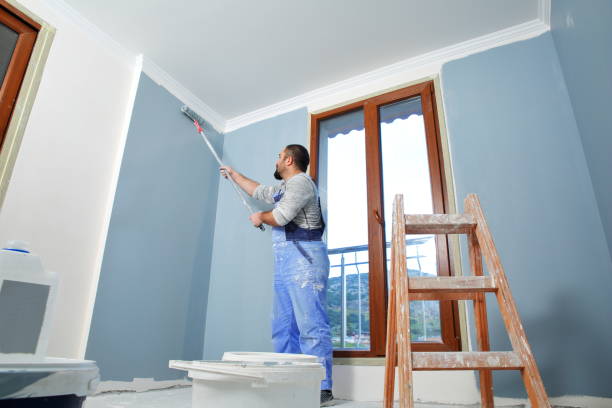 Best Mold Damage Restoration  in Hartville, OH