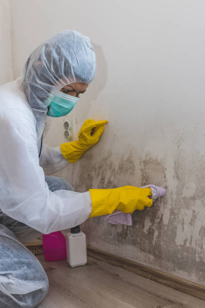 Best Industrial Mold Remediation  in Hartville, OH