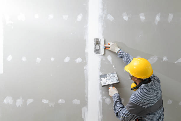 Best Asbestos and Lead Testing During Mold Inspection  in Hartville, OH