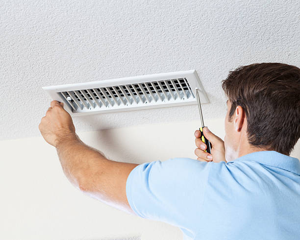 Best Mold-Related Health Consultation  in Hartville, OH