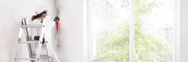Mold Remediation for Vacation Homes in Hartville, OH